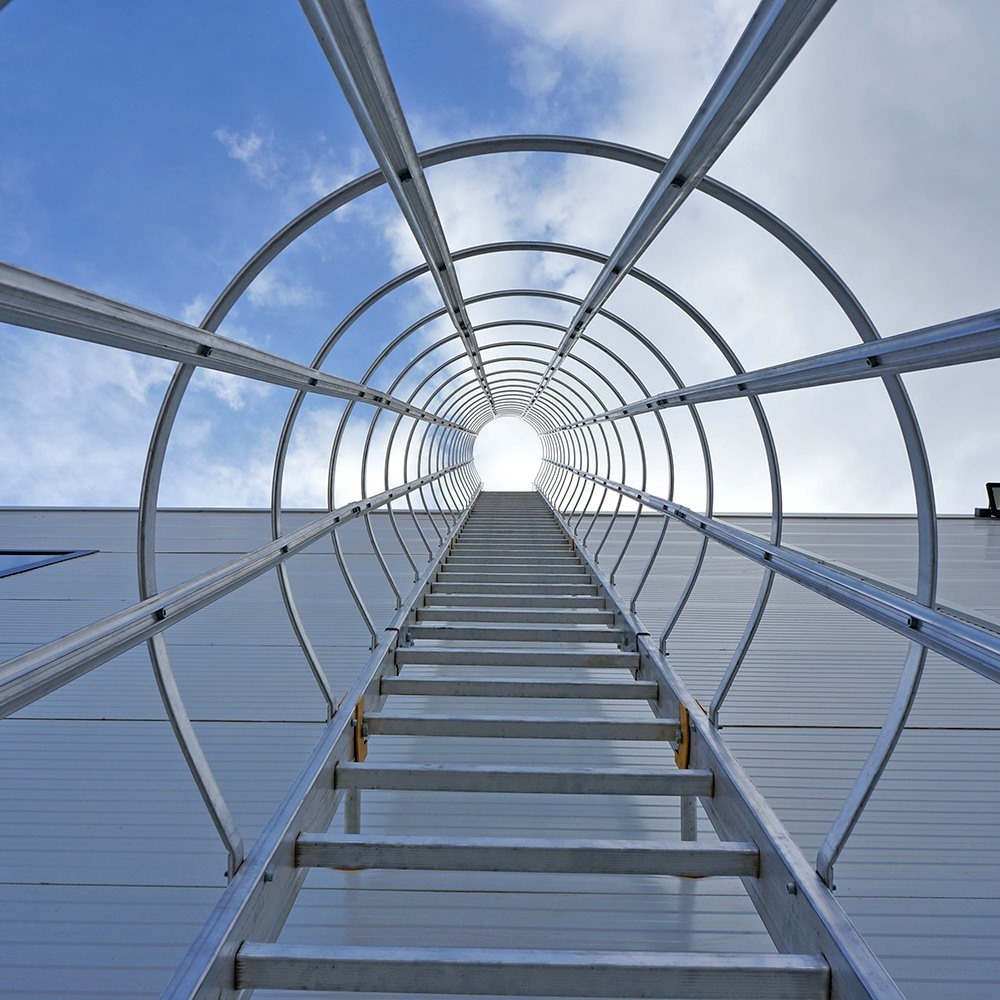 Cage Ladders