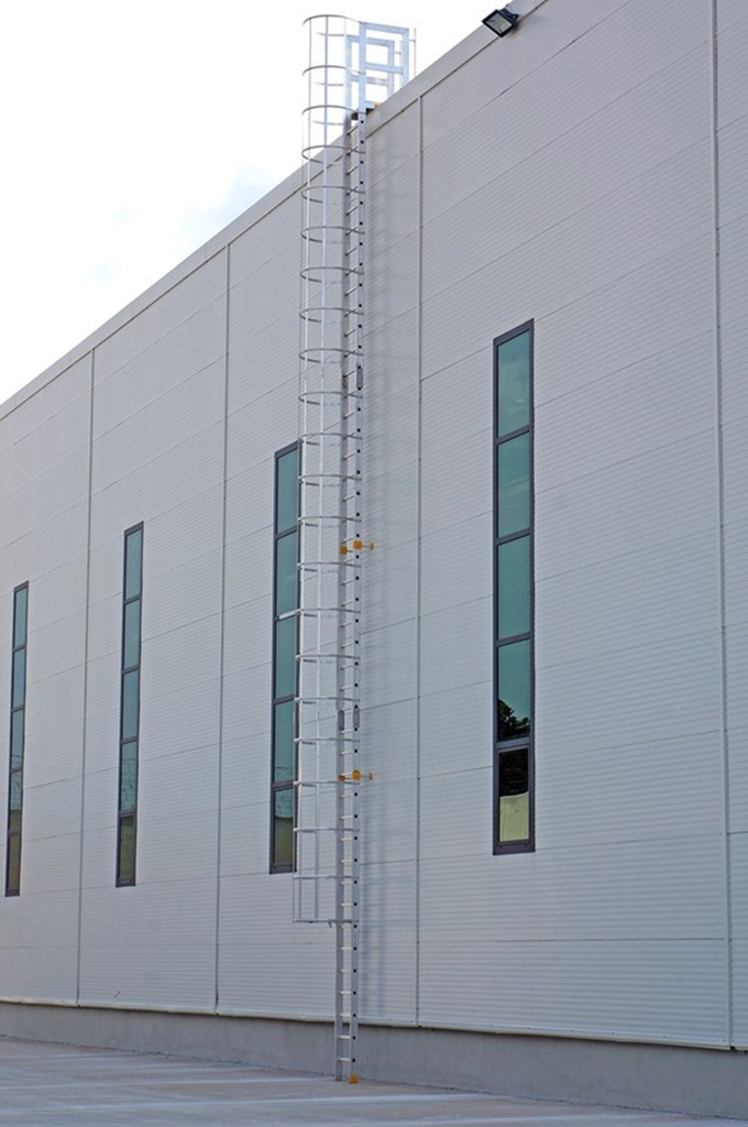 Cage Ladders