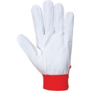 A250 Tergsus Glove