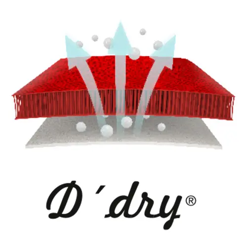 dian-ddry.webp