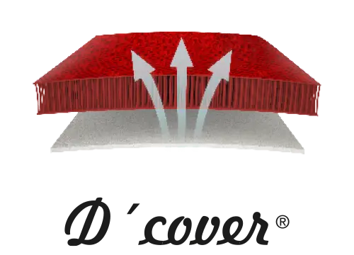 DCOVER.webp