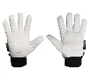 MT170RE-principal02.jpg.webp
