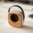 BS3210 ALESSO Bluetooth speakers