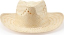 GO7062 HALLEY straw