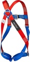 FP13 2 Point Harness
