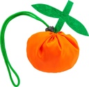 BO7523 FOCHA Bag