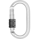 FA5010117B Screw lock Steel karabiner Keylock type
